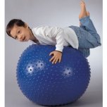 Exercise Balls